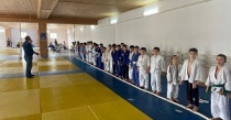 В зале с. Новые-Атаги провели районный турнир по дзюдо, приуроченный к Декаде спорта и здоровья. 